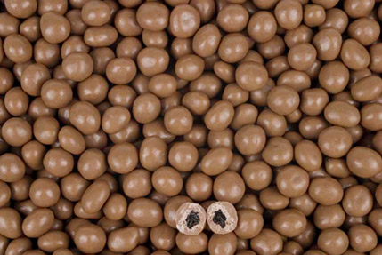 Choc Raisins Choc Raisins