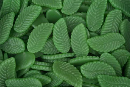 Giant_Spearmint_Leaves Giant_Spearmint_Leaves