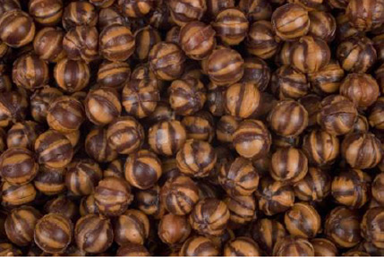 brandy_balls brandy_balls